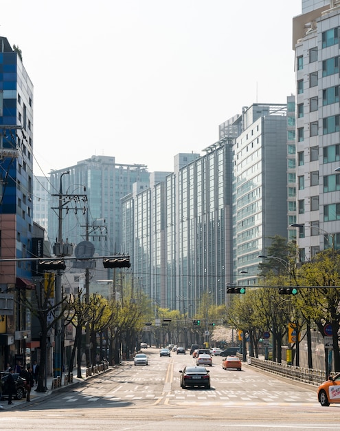 Modern  buildings in seoul 