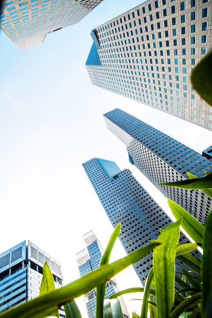 Modern business skyscrapers, high-rise buildings, architecture raising to the sky