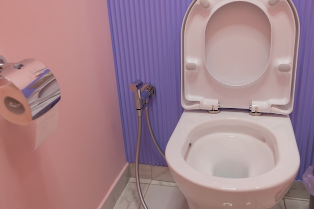 Modern ceramic toilet bowl near color wall in restroom.