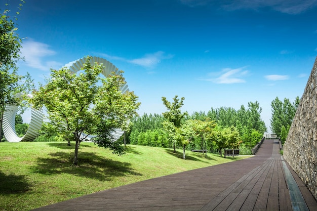 Modern city park in daytime landscaped with greenery