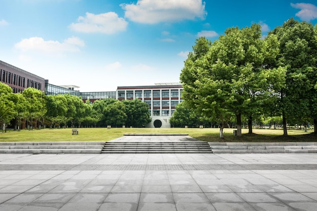 Modern city road and building with grass