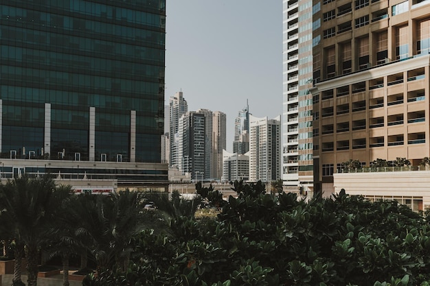 Modern city skyscrapers buildings at sunset time with business and residential towers around a lake