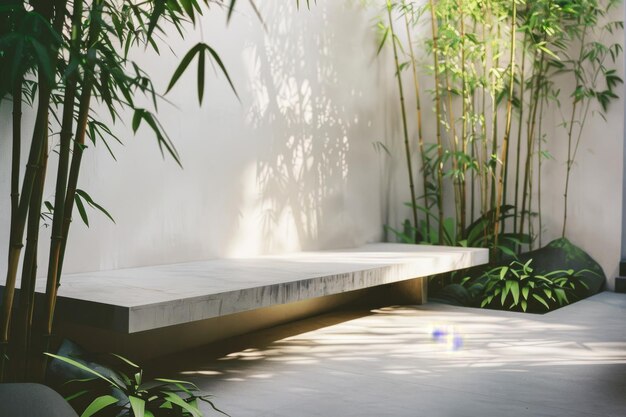 Photo modern courtyard with geometric benches lush bamboo and sharp light angles creating a dynamic and stylish green space