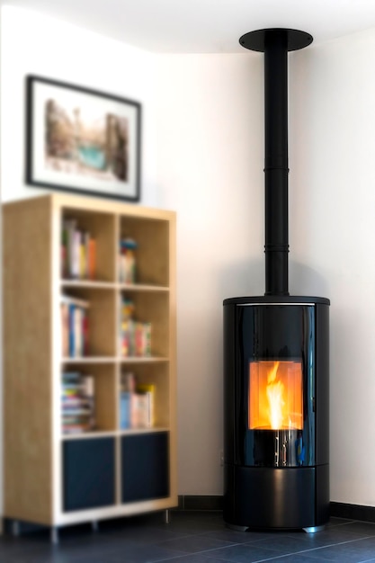 Modern domestic pellet stove granules stove with flames and library