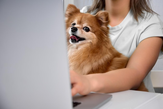 Modern freelancer works home in comfort with his beloved pet in his arms