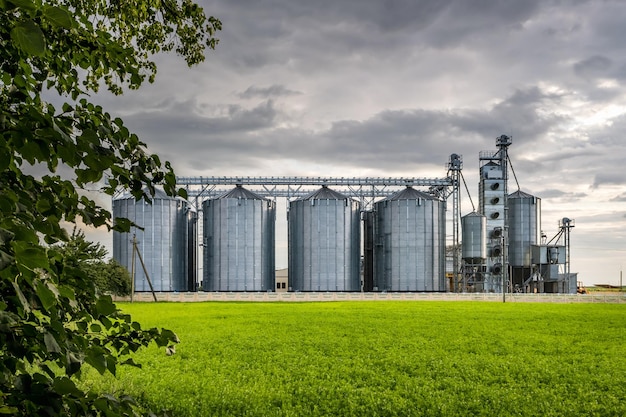 Modern Granary elevator and seed cleaning line Silver silos on agroprocessing and manufacturing plant for storage and processing drying cleaning of agricultural products flour cereals and grain