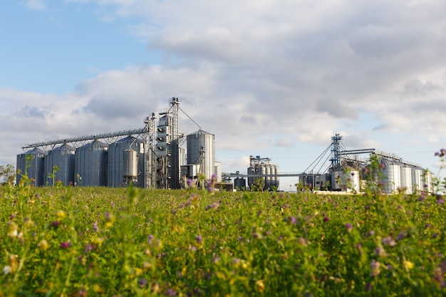 Modern Granary elevator and seed cleaning line.