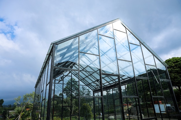 Modern greenhouse against the blue sky with clouds