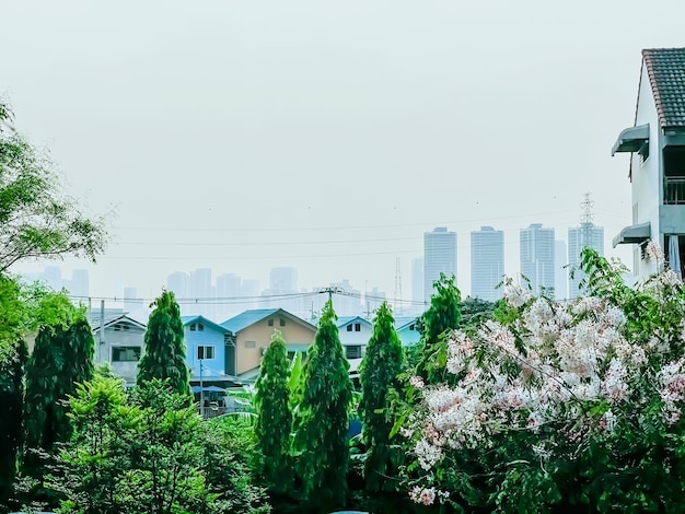 Modern high-rise residential building in Bangkok,  with flower and city in the background