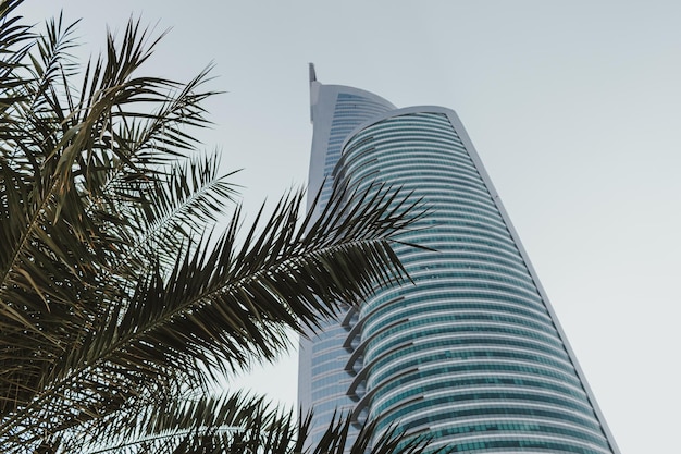 Modern high tech glass skyscraper business tower and residential building with palm tree