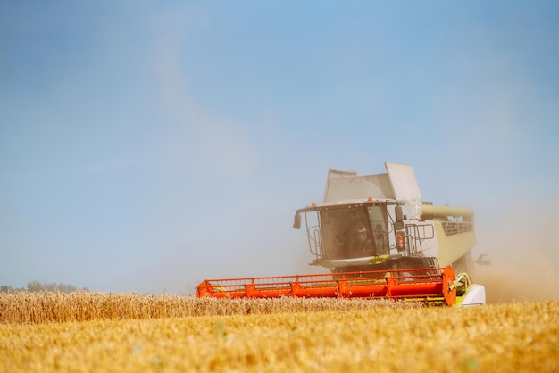 Photo modern industrial combine harvester harvests wheat cereals on a summer day rich harvest concept