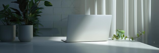 Modern Laptop on Office Desk with Plants in Sunlight