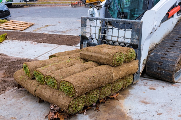 Modern lawn planting technologies in landscape design roll grass close up