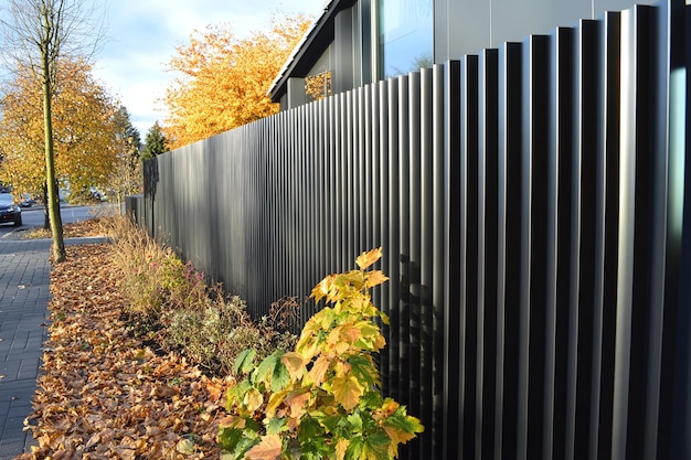 Modern Metal Fencing in Residential Areas