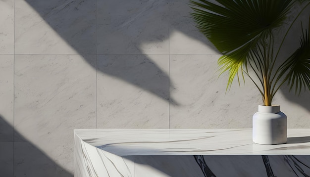 Modern minimal empty white marble stone counter table top palm tree in sunlight