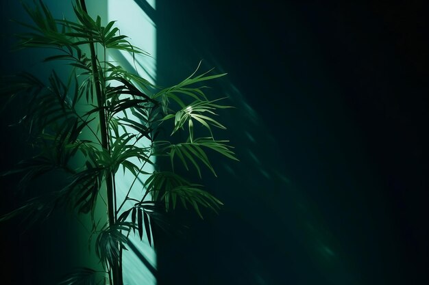 Modern minimalist dark green wall background with exotic bamboo palm tree AI generated