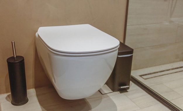 Modern toilet interior design hanging toilet bowl and brush beige brown walls and floor