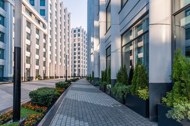 Modern white office buildings in contrast light