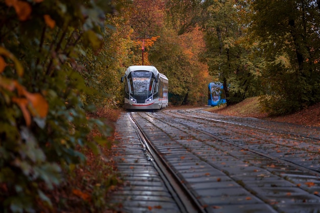 A modernstyle tram goes out of a dense forest in autumn colors Moscow Russia