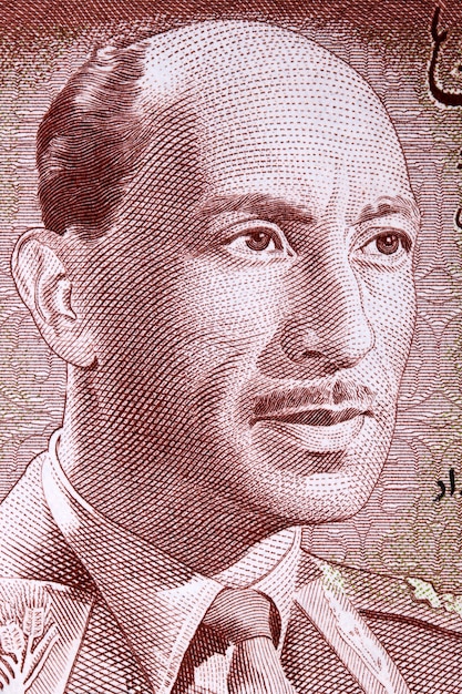 Mohammed Zahir Shah a portrait from Afghan money