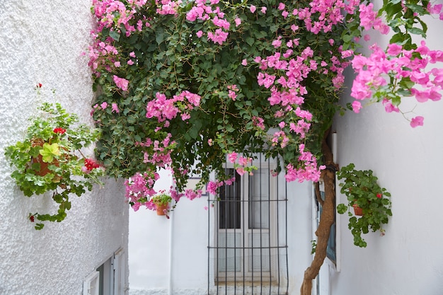 Mojacar Almeria white Mediterranean village Spain