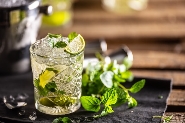 Mojito or virgin mojito long rum drink with fresh mint, lime juice, cane sugar and soda.