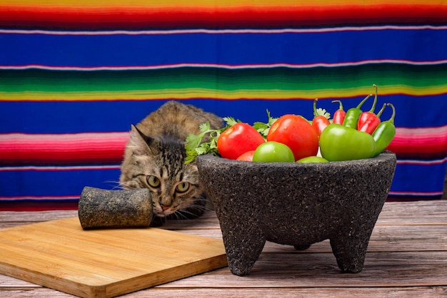 Molcajete with vegetables on wooden table Ingredients for a hot sauce Cat on the table