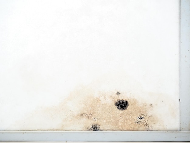 Photo mold stains grow on white panel ceiling and walls in the house mould damaged wall background with copy space closeup surface of moldy texture inside the frame in old home