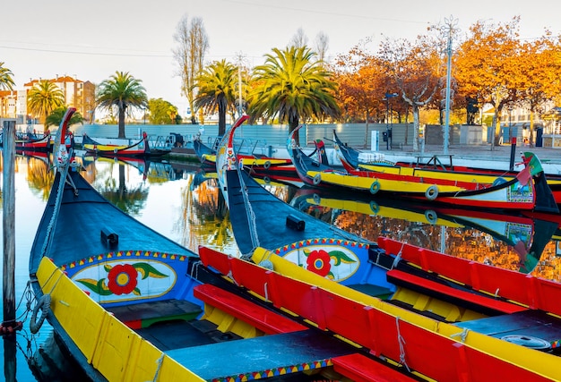 Moliceiro boats in Ria of Aveiro city of Aveiro