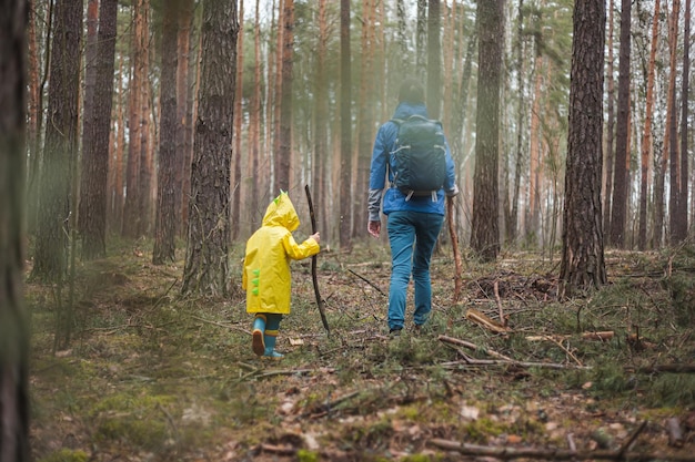 Mom and child walking in the forest after the rain in raincoats with wooden sticks in hands back view