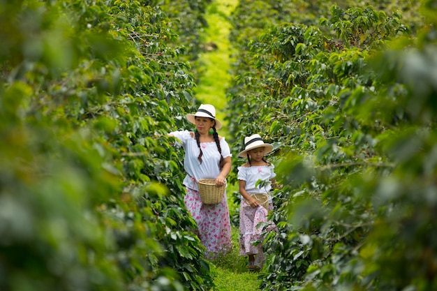 mom and daughter picking up coffee beans in a coffee plantation