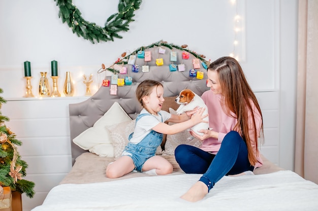 Mom gives jack russell puppy to daughter on new year's eve on the background of advent calendar, loving family in the room