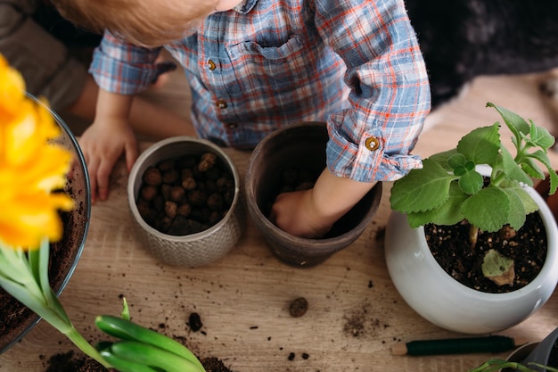 Mom and little son oma are transplanting houseplants together