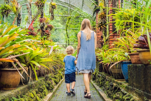 Mom and son are walking in the tropical park