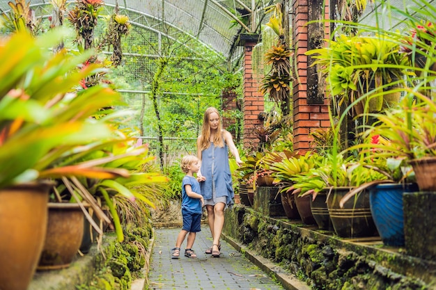 Mom and son are walking in the tropical park