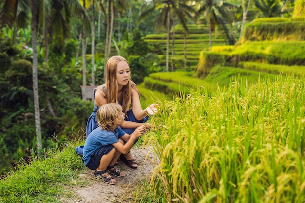 Mom and son on the rice field in the background of rice terraces, Ubud, Bali, Indonesia. Traveling with children concept. Teaching children in practice.