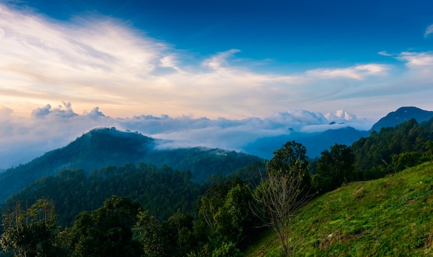 Mon Sone View Point, Doi Pha Hom Pok National Park