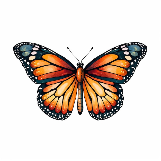 Monarch_Butterfly_Clipart_different_view_differnt_color