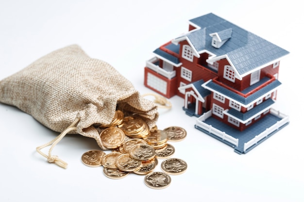 Money bag and house model on white background