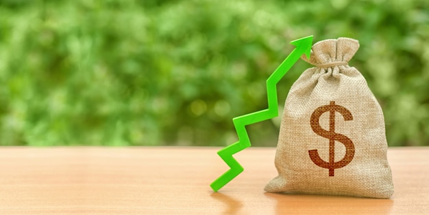 Money bag with dollar symbol and green up arrow. Increase profits and wealth. growth of wages