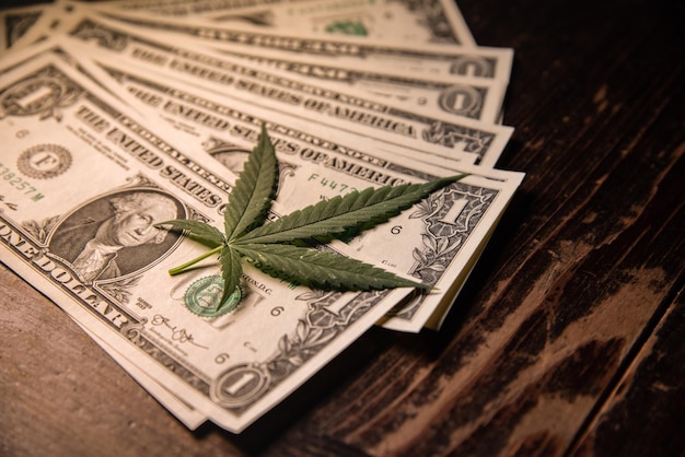 Money Marijuana Dollar bill and Medical Marijauna on Table