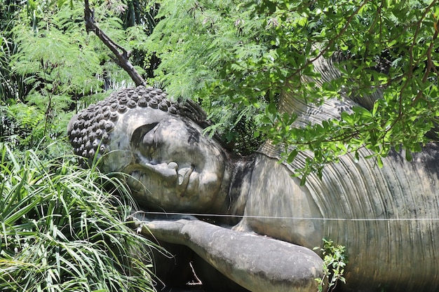 The monk was sleeping peacefully.