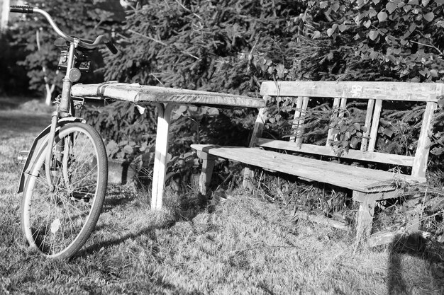 Photo monochrome photo bicycle on a rural nature