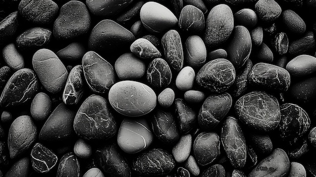 Monochrome Texture of Smooth Pebbles and Stones