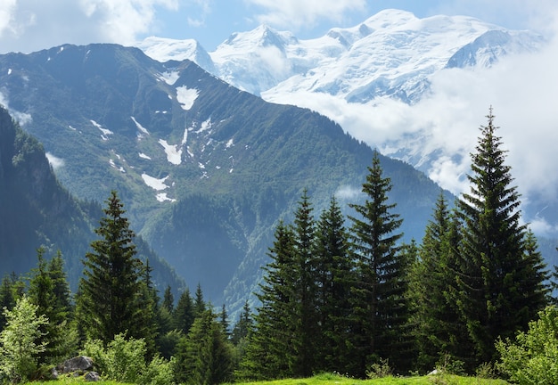 Mont Blanc mountain massif (Chamonix valley, France, view from Plaine Joux outskirts)