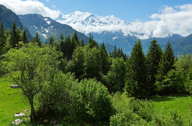 Mont Blanc mountain massif (Chamonix valley, France, view from Plaine Joux outskirts)