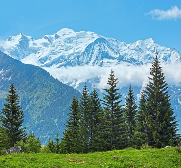 Mont Blanc mountain massif (Chamonix valley, France, view from Plaine Joux outskirts).