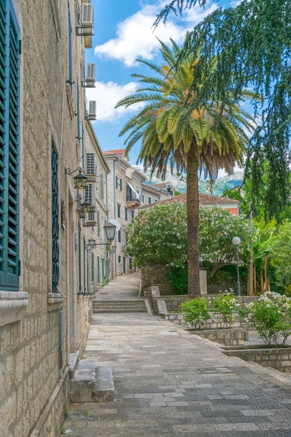 MONTENEGRO HERCEG NOVI tourists are walking along the narrow streets of the old city