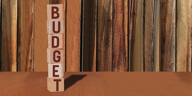 Monthly budget accounting year and current financial year image