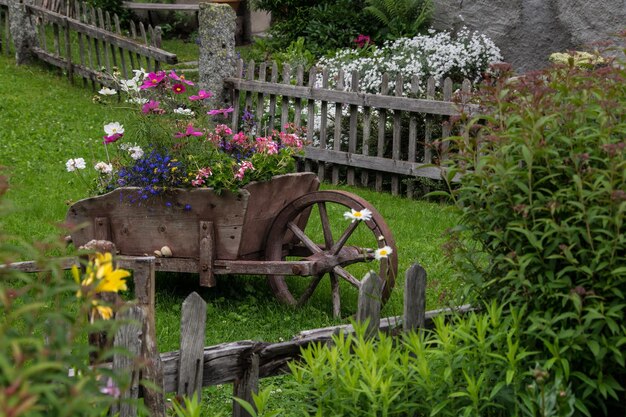 Montrocchamonixhaute savoiefrance